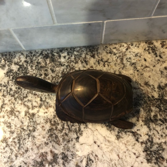 Ironwood sea turtle - Picture 4 of 7